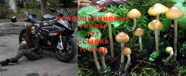 скорость Рославль