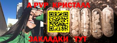 спиды Дубна