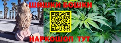 спиды Дубна