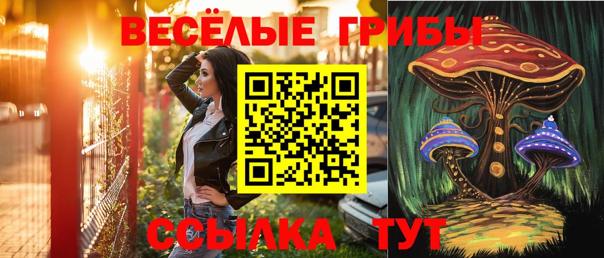 Псилоцибиновые грибы мицелий Назрань
