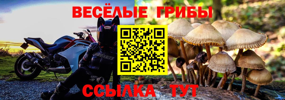 Назрань  Галлюциногенные грибы MAGIC MUSHROOMS  Вход с VPN  Галлюциногенные грибы Magic Shrooms 